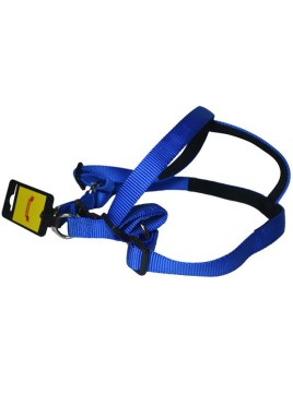 Glenand Harness 1 Inch Blue 